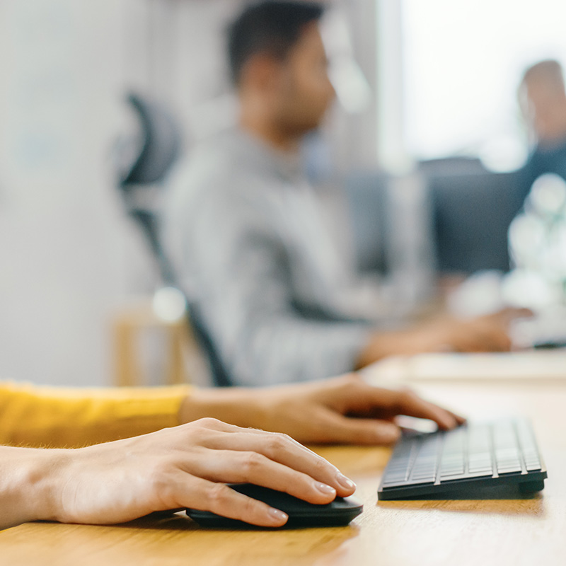 Beispielbild für Team und Karriere